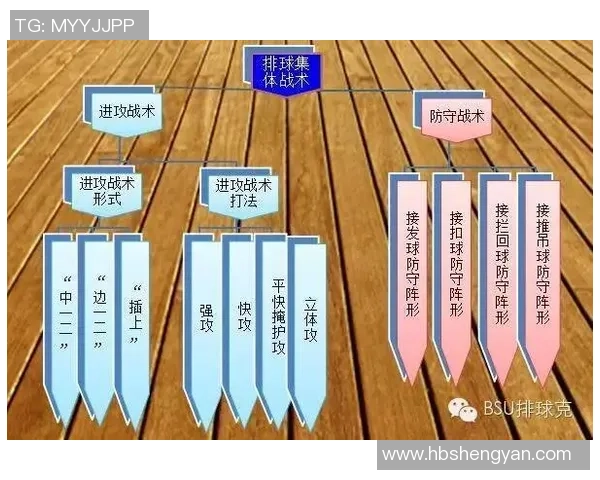 深圳排球队防守战术深度解析与实战应用探讨